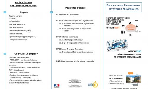 Bac Pro Systemes Numeriques Lycee Des Metiers La Tournelle